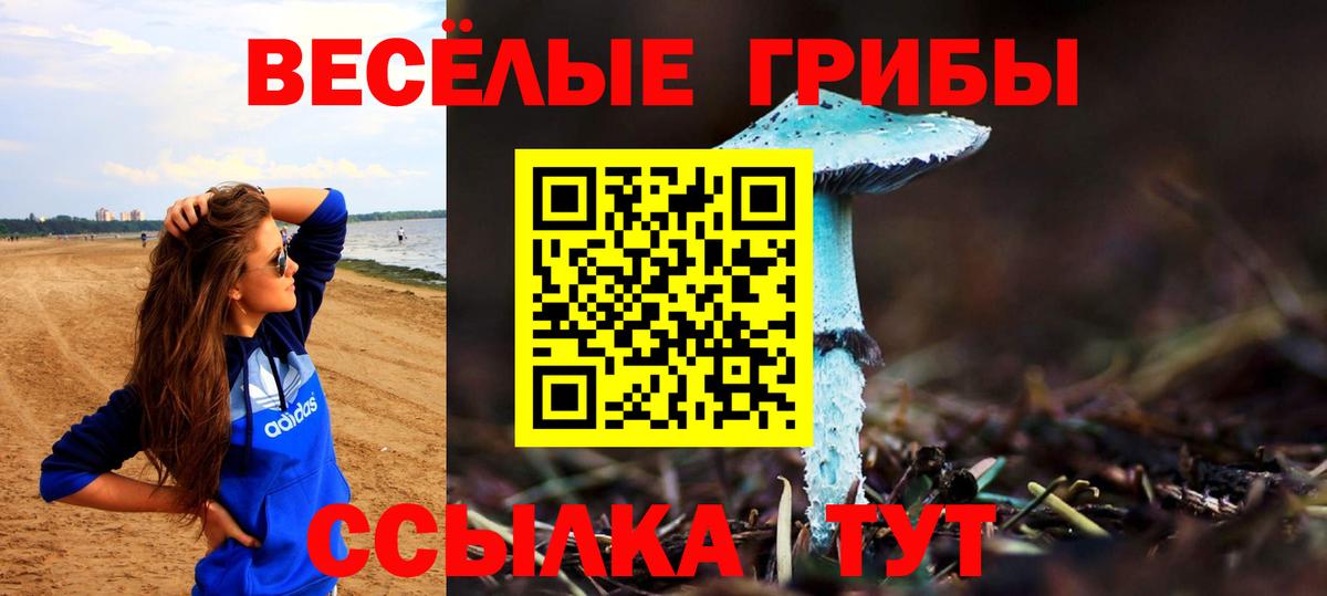 Галлюциногенные грибы GOLDEN TEACHER Абакан